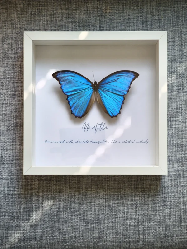 Personlig fjärilstavla med namnet Matilda och vald fras under blå Morpho didius