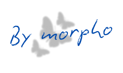 By Morpho