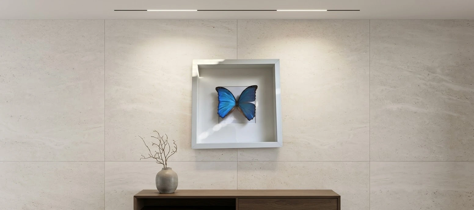 Äkta fjärilstavla med blå Morpho didius i vit djup träram på väggen ovanför en sideboard